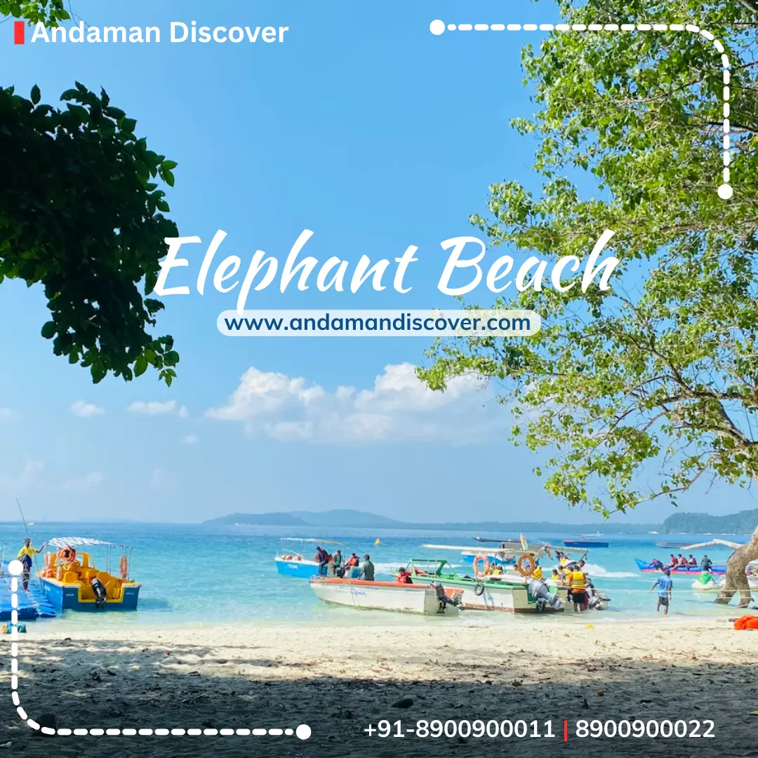 Elephant beach