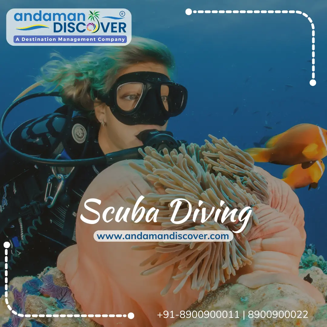Scuba Diving